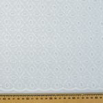 4601-TECIDO-LAISE-OFF-WHITE--3-
