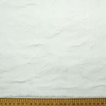 DSC00670.jpg
